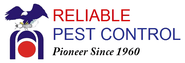 Reliable-Logo-Horzontal-with-Text-No-White
